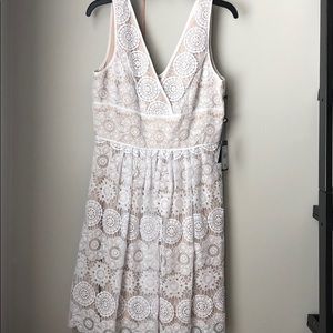 Amazing Adriana Papell Dress